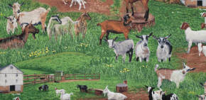 359 green, goats