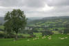 Landscape near Llangeitho