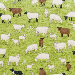 2291-1 Sheep