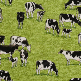 2293-1 Cows