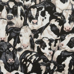425-X1 Crowded Cows