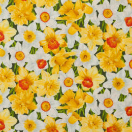 2324-1 Daffodils
