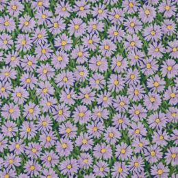 2326-L Daisies, lilac