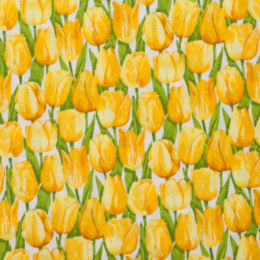 2329-Y Tulip, yellow