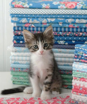Moda 'a cat named stitch'