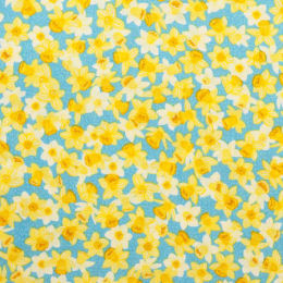 085-B Daffodil, blue