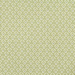 5262-15 Fern