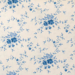 100661 Noel, blue