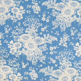 100663 Isolde, cornflower