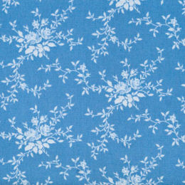 100671 Noel, cornflower