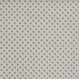 110163 Dorothy, sky